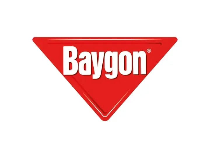A red, downward-pointing triangle features the word "Baygon" in bold white letters, centered within a plain white background.