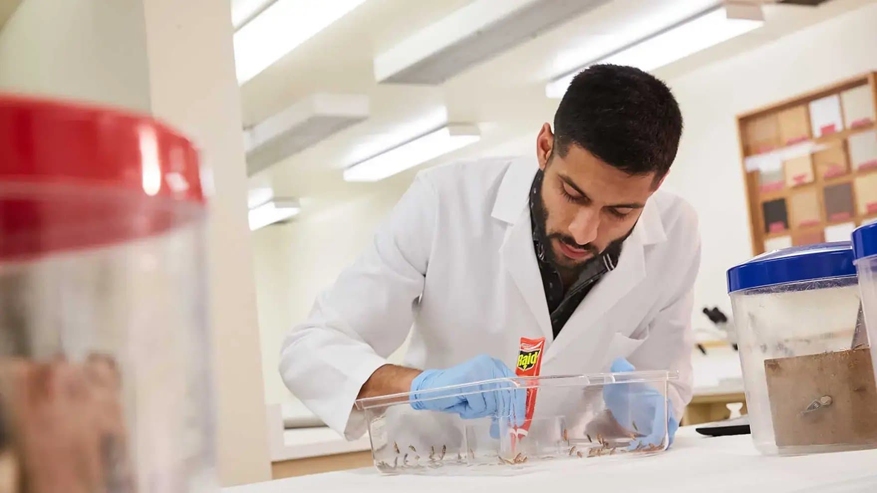 A scientist wearing a lab coat applies Raid insecticide to a clear container filled with insects. The setting is a well-lit laboratory with jars and equipment.