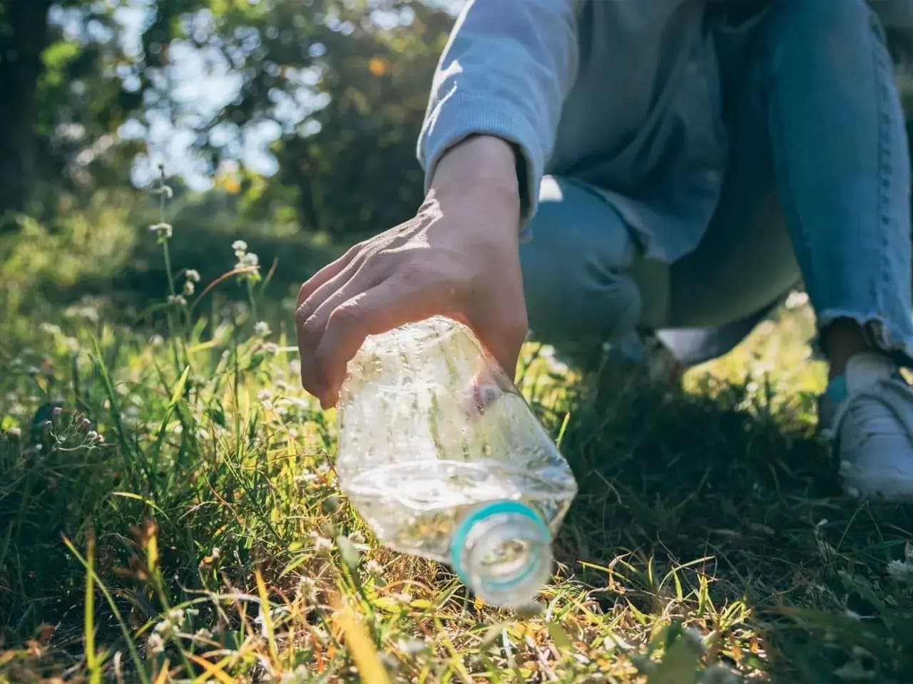 A hand picks up a plastic bottle from the grass in a sunlit park, with trees and greenery in the background, suggesting an environmental cleanup effort.